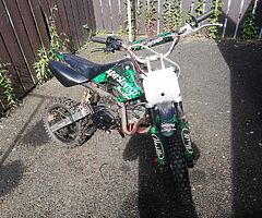 1901 Lifan Monkey 110