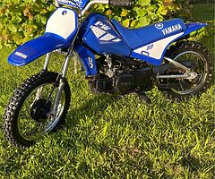 1999 Yamaha PW