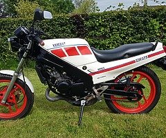 1989 YAMAHA TZR125 YPVS - Image 5/8