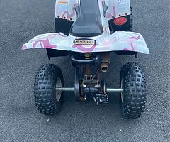 2021 Linon 110cc 110cc