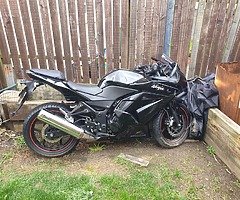 Kawasaki Ninja 250 2010