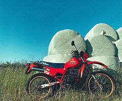 1985 Honda XL - Image 7/7