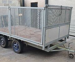 Twin axle trailer with cage