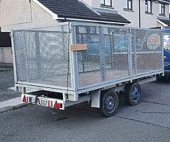 Twin axle trailer with cage