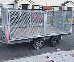 Twin axle trailer with cage - Image 4/6
