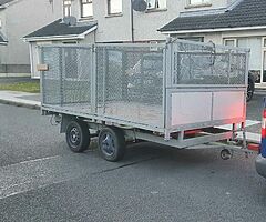 Twin axle trailer with cage - Image 5/6