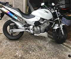 2005 Honda Hornet - Image 5/5