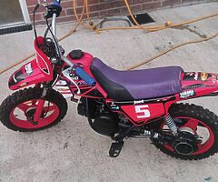Pw50