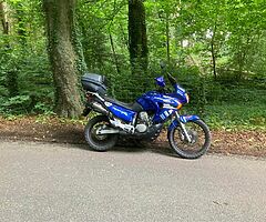 2004 Honda Transalp Xl 650