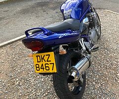 2000 Suzuki Bandit - Image 5/10