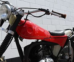 1982 Montesa Cota - Image 8/10