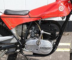 1982 Montesa Cota - Image 9/10