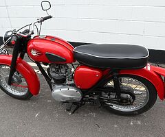 1966 BSA Victor - Image 6/10