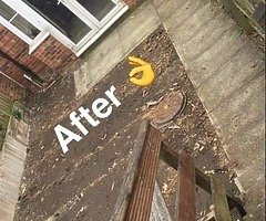 Clean up - Image 3/4