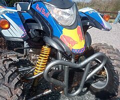 2007 Quadzilla  250 Twin cylinder