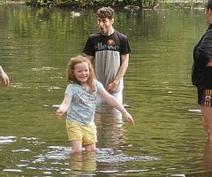 1997 Ford Transit - Image 6/6