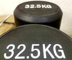 Rubber Coated 32.5kg Dumbbells. UK< NI & ROI
