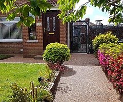 Resin bound surfacing - Image 6/10