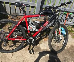 Apollo phase petrol bike