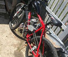 Apollo phase petrol bike