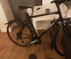 Carrera sulca and trek hybrid