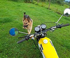 1974 Yamaha DT - Image 9/10