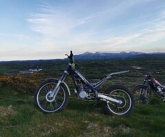 Sherco 290 trials bike