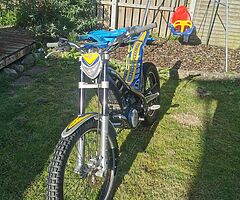 Sherco 290 trials bike - Image 3/7