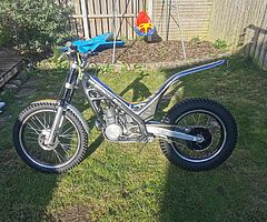 Sherco 290 trials bike - Image 4/7