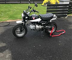 2020 Honda Monkey
