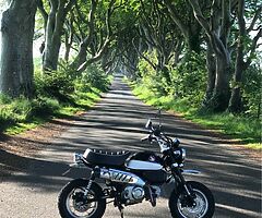 2020 Honda Monkey - Image 4/4