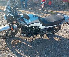 1991 Yamaha XJ6 - Image 5/5