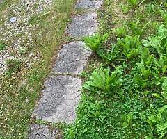 Pats powerwashing service