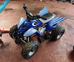 2018 A.P.C Motor Company Wild Card