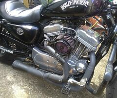 2007 Harley-Davidson Sportster 883 - Image 5/10