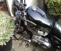 2007 Harley-Davidson Sportster 883 - Image 6/10