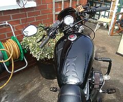 2007 Harley-Davidson Sportster 883 - Image 7/10