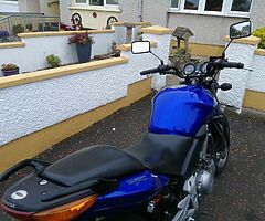 2004 Honda CB500F - Image 8/10