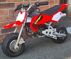 2004 Blata Motard - Image 5/5