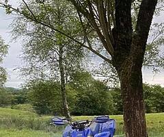 Yamaha blaster 200 - Image 3/6