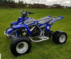 Yamaha banshee