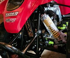 2020 Quadzilla  Quadzilla 100cc