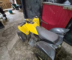 2010 A.P.C Motor Company Quadzilla