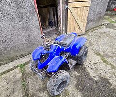 2010 A.P.C Motor Company Quadzilla - Image 7/7