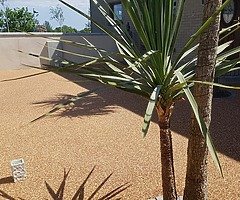 Resin bound surfacing - Image 7/10