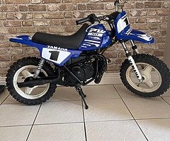Pw50