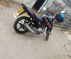 2013 Yamaha YBR - Image 7/8