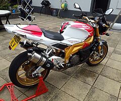 2008 Aprilia Tuono - Image 4/5