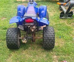 100cc unilli quad - Image 4/7