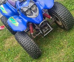 100cc unilli quad - Image 6/7